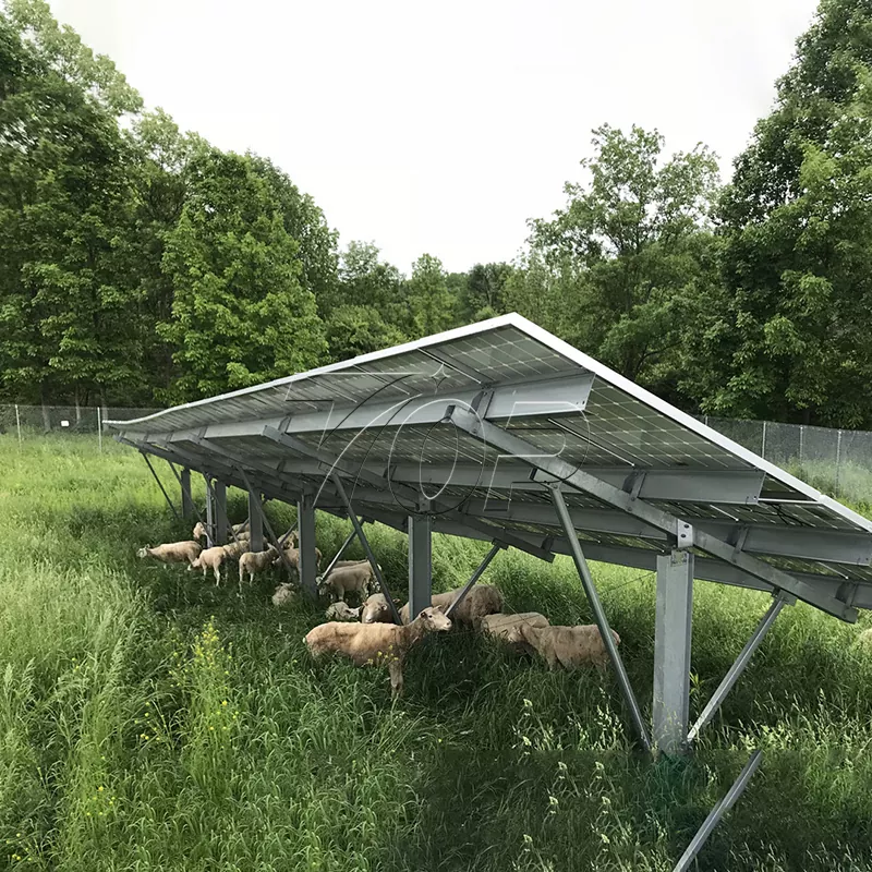 Tabulae solares pro Firma: Auxilio agriculturae Energy sustentationem ad altiorem gradum!